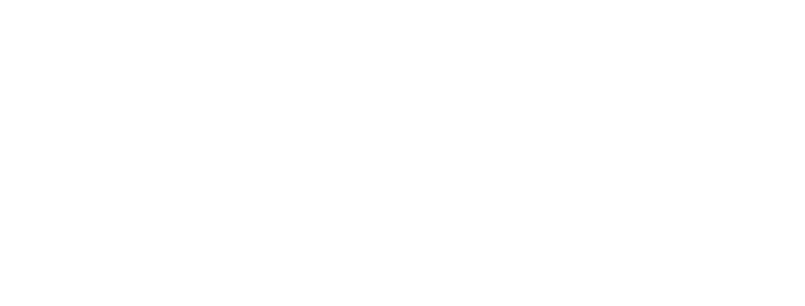 Especialista en Marketing Digital en Pachuca